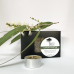 Bush Candles - Natural Unscented Tea Lights